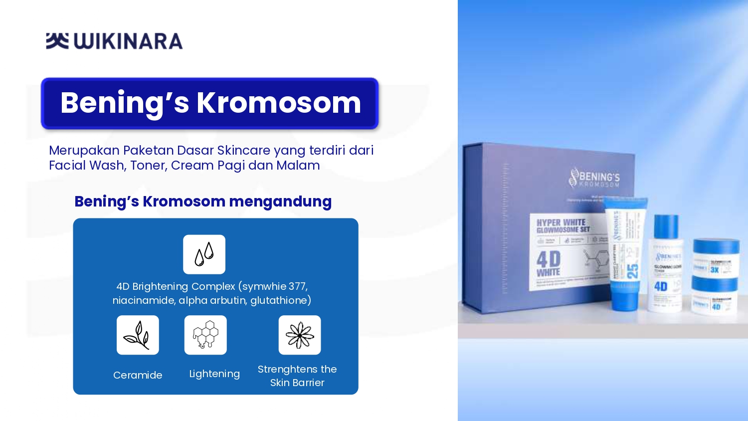 MATERI PRESENTASI WIKINARA Yopie Merganta_page-0016